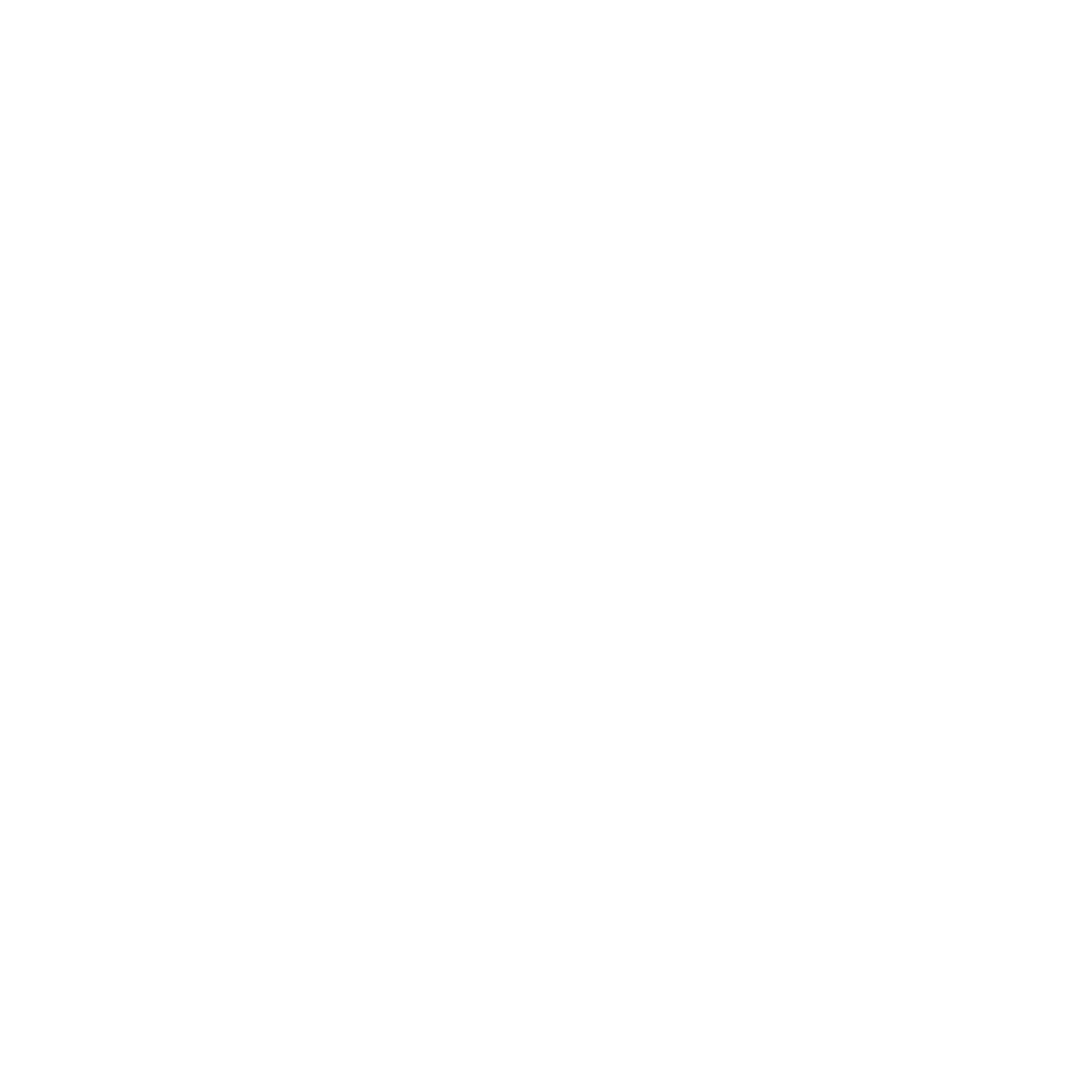 Tiesto white logo(ariachic)