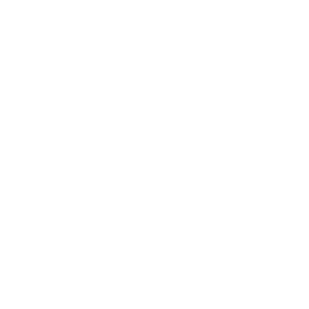 roni logo(ariachic)